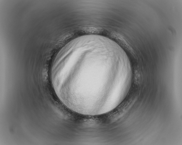 X0000110860259200907021422