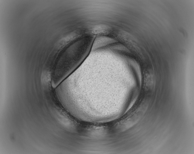 X0000110860260200907021422