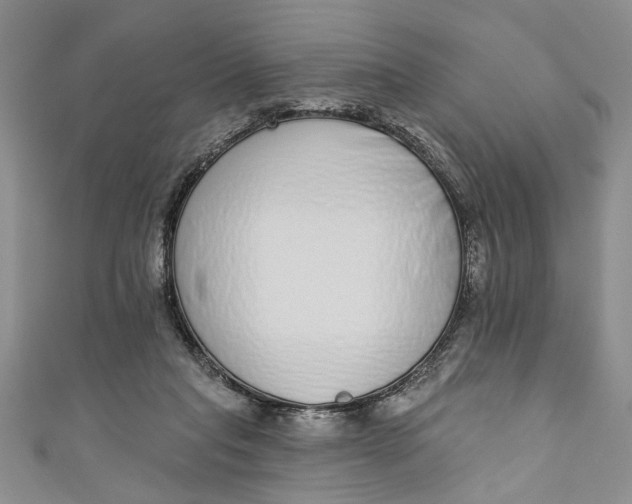 X0000110860261200907021422