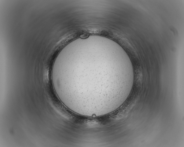 X0000110860262200907021422