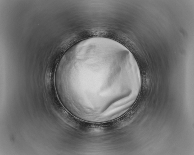 X0000110860263200907021422