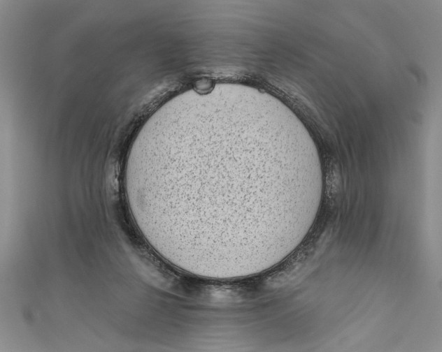 X0000110860264200907021422