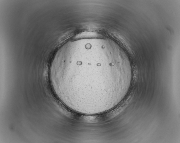 X0000110860265200907021422