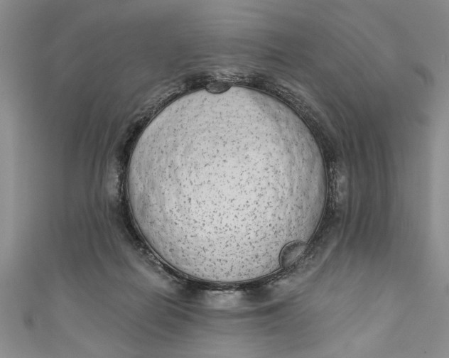 X0000110860266200907021422