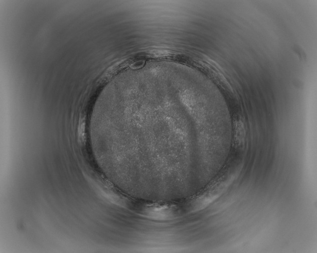 X0000110860267200907021422