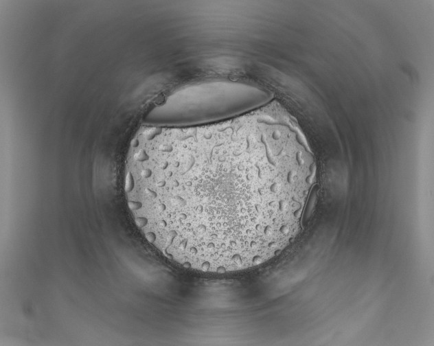 X0000110860268200907021422