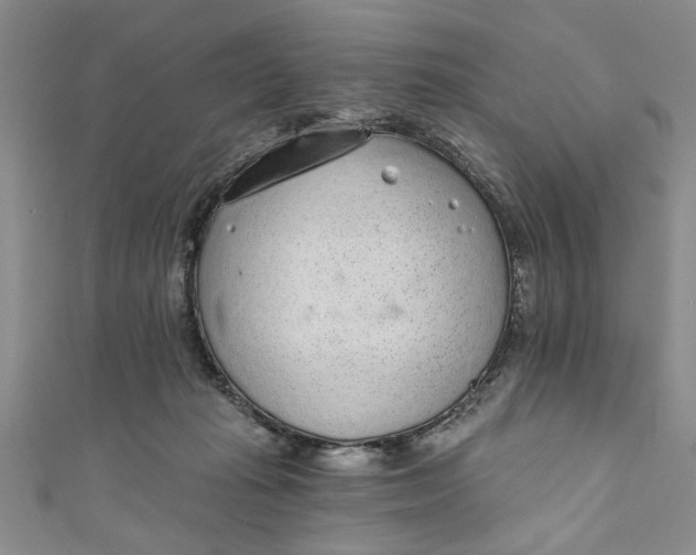 X0000110860269200907021422