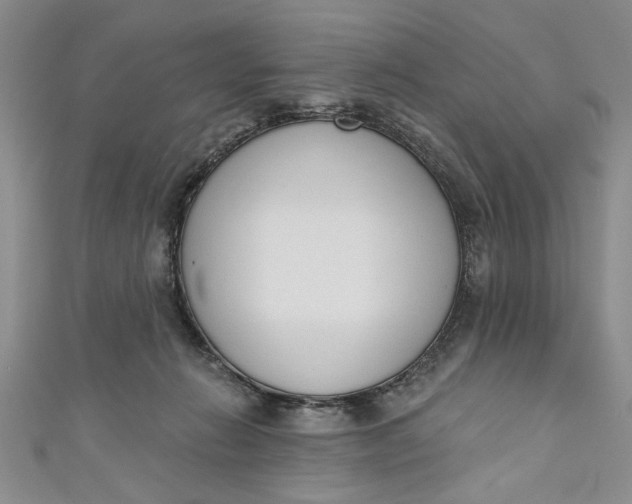 X0000110860270200907021422