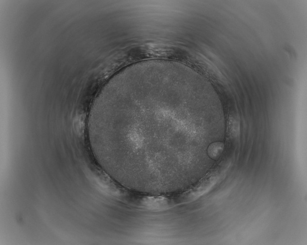 X0000110860271200907021422