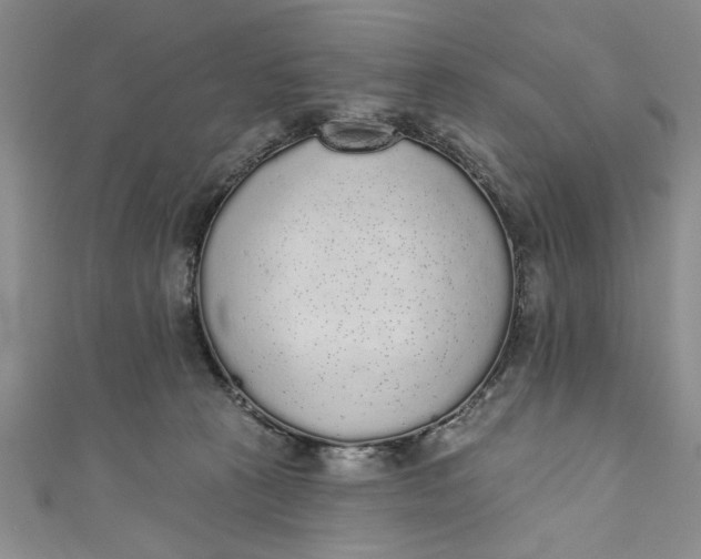 X0000110860273200907021422