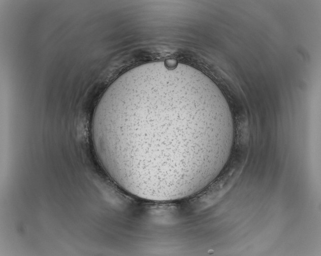 X0000110860274200907021422