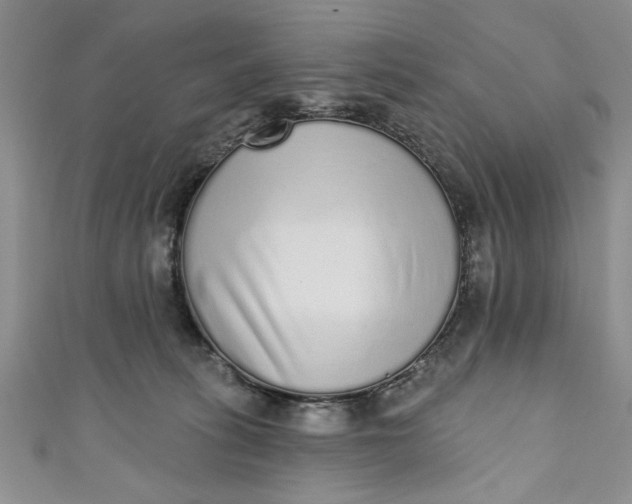 X0000110860275200907021422