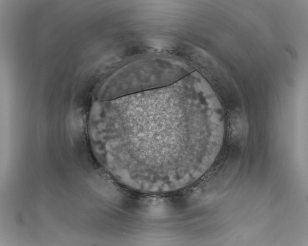 X0000110860276200907021422