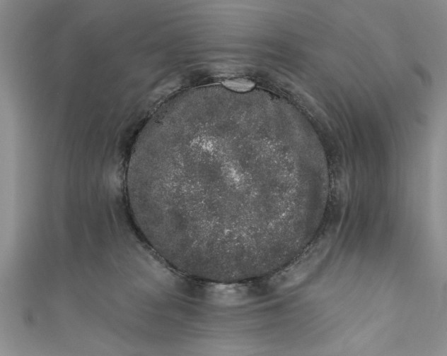 X0000110860277200907021422