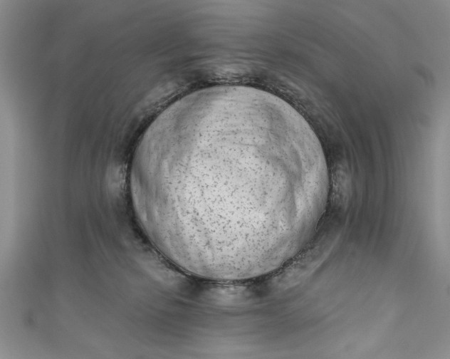 X0000110860278200907021422