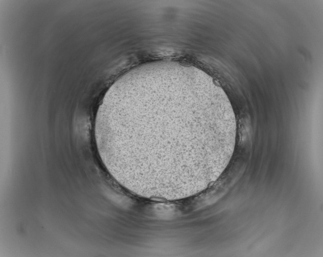 X0000110860279200907021422