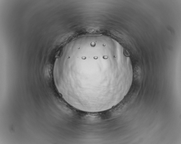 X0000110860280200907021422