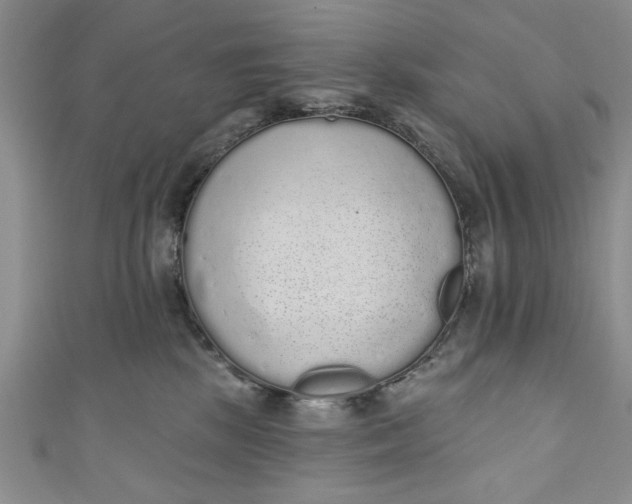 X0000110860281200907021422