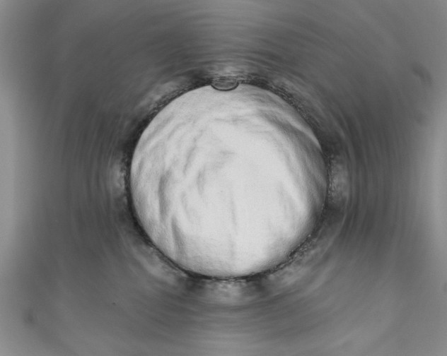 X0000110860282200907021422