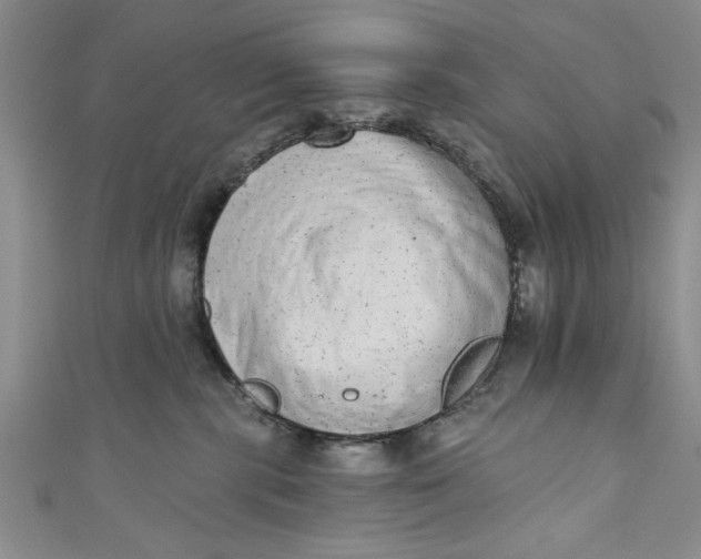 X0000110860283200907021422