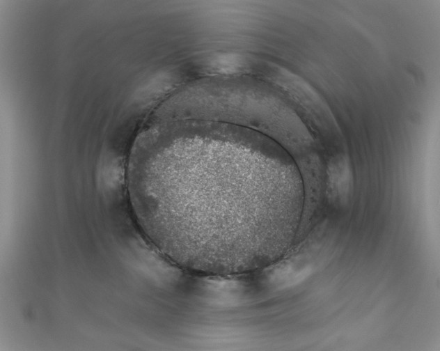 X0000110860284200907021422