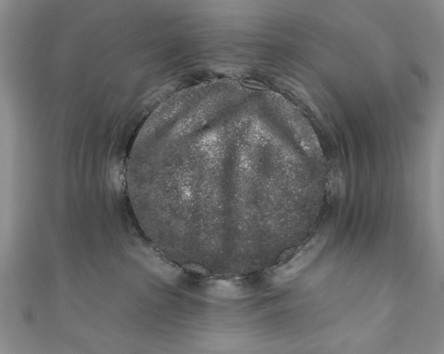 X0000110860285200907021422