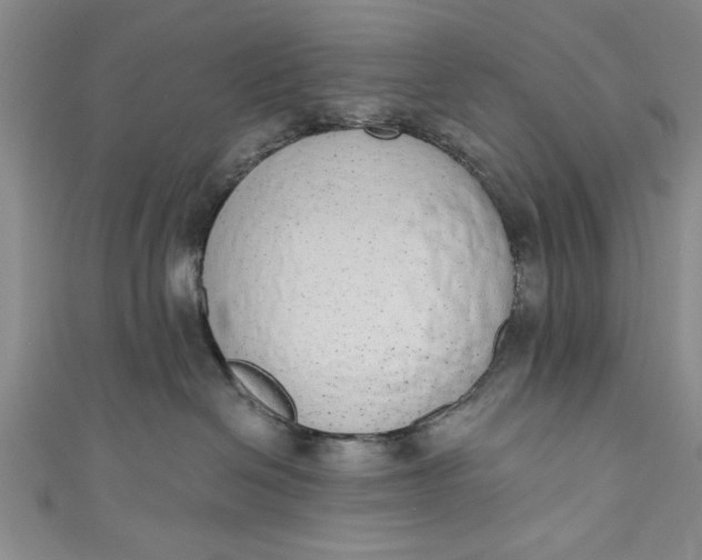 X0000110860286200907021422