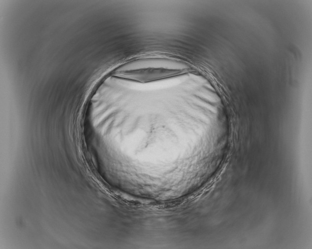 X0000110860289200907021421