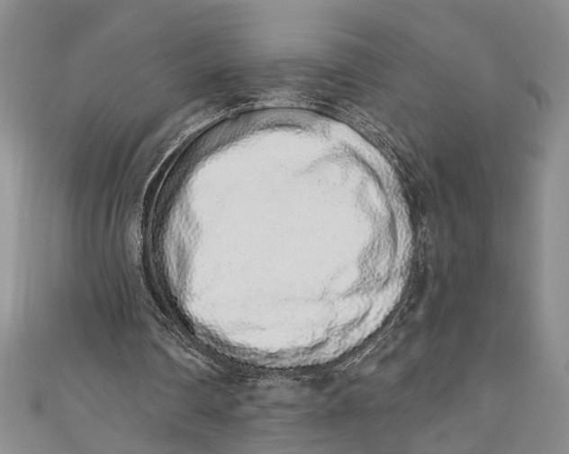 X0000110860290200907021421