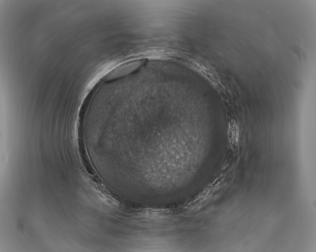 X0000110860292200907021421