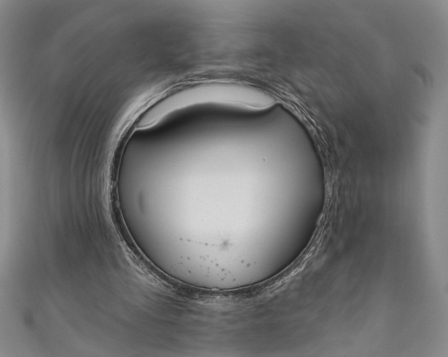 X0000110860293200907021421