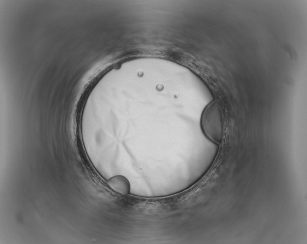 X0000110860294200907021421