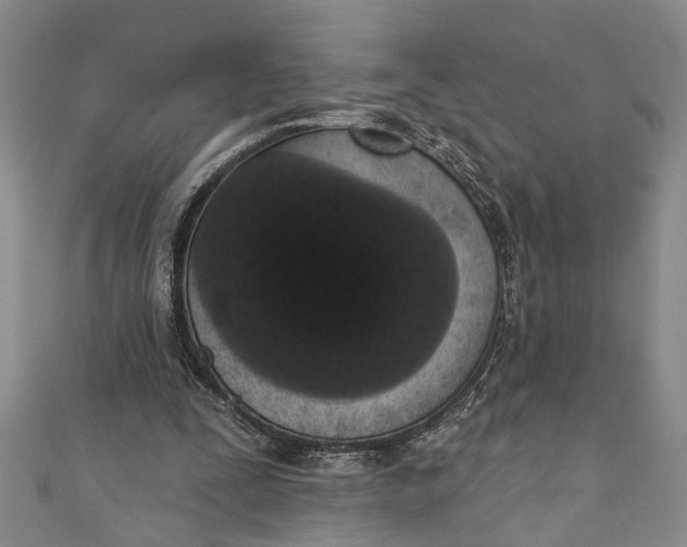 X0000110860295200907021421