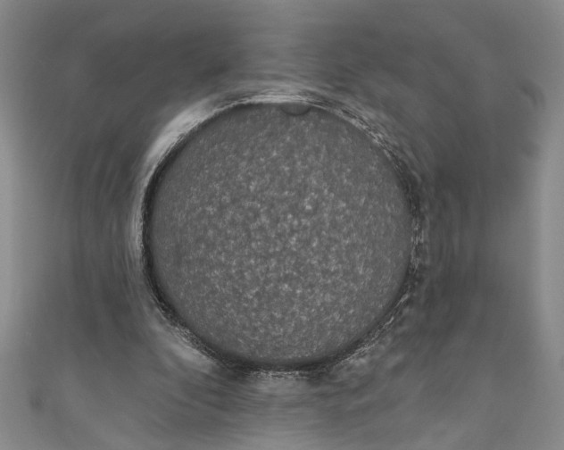 X0000110860296200907021421