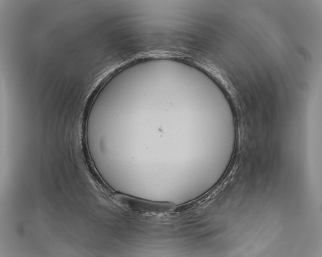 X0000110860297200907021421