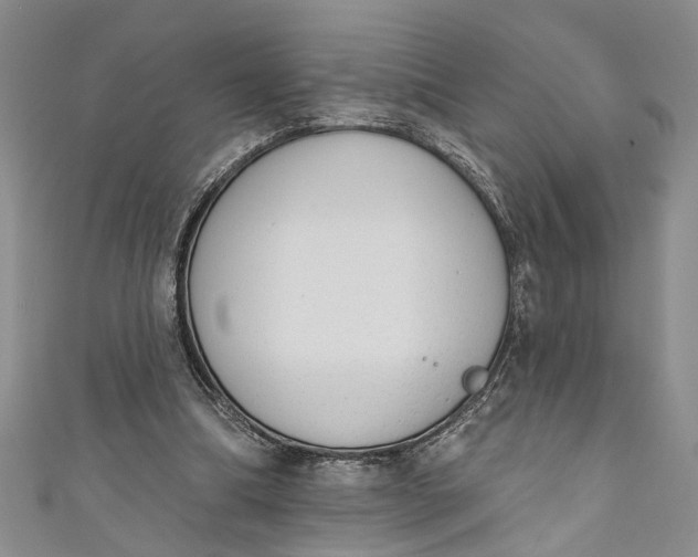 X0000110860298200907021421