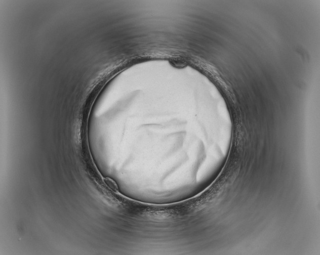 X0000110860299200907021421