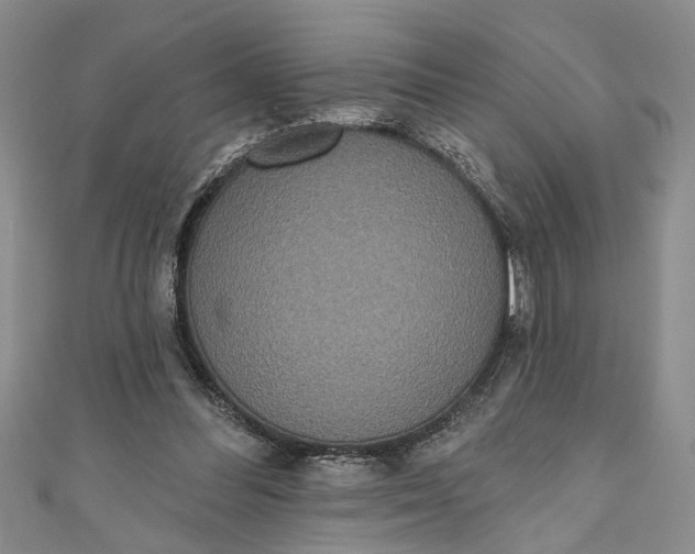 X0000110860300200907021421