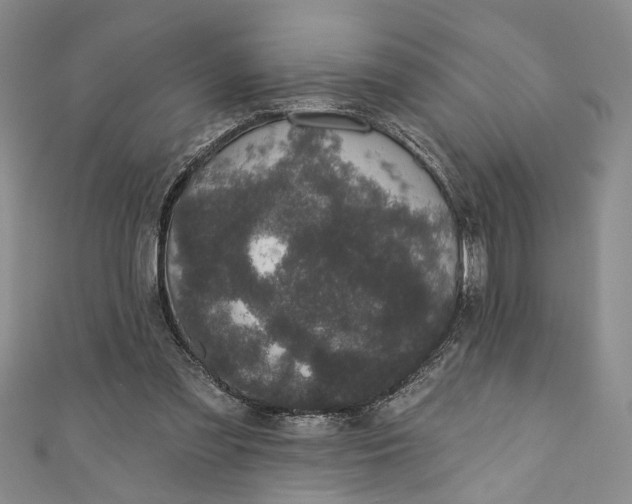 X0000110860301200907021421