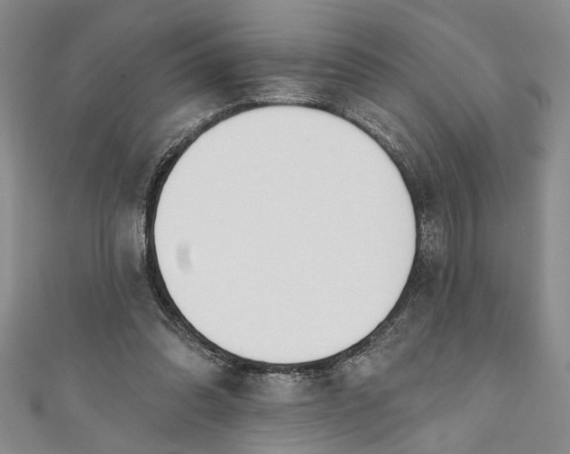 X0000110860302200907021421