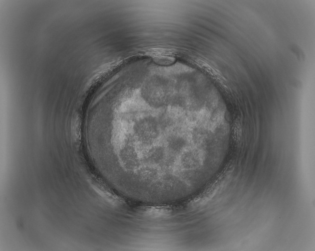 X0000110860303200907021421