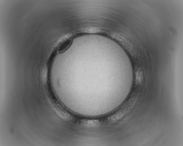 X0000110860304200907021421