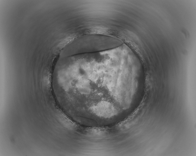 X0000110860305200907021421