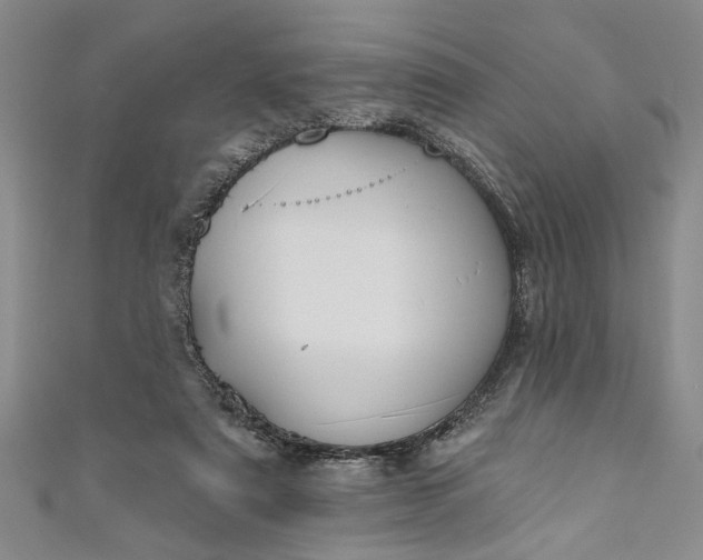 X0000110860307200907021421