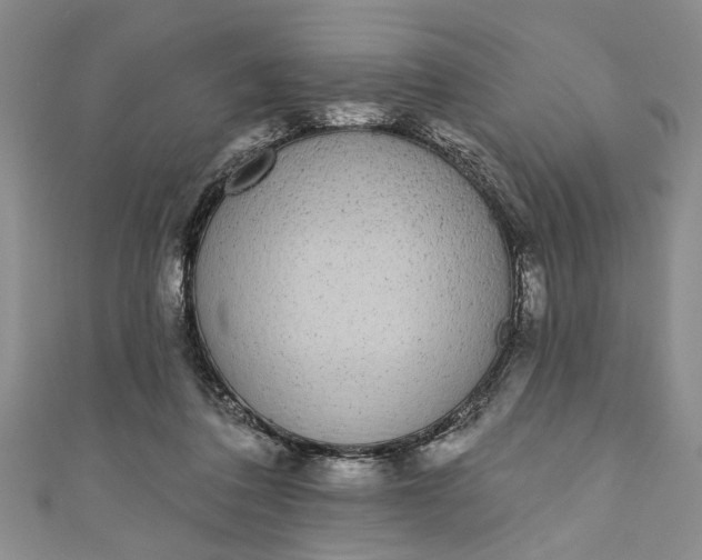 X0000110860308200907021421