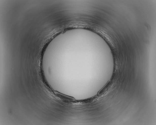 X0000110860309200907021421