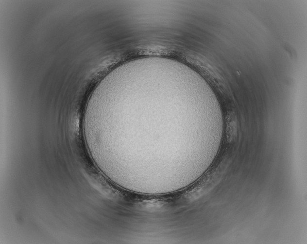 X0000110860310200907021421