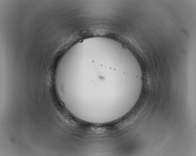 X0000110860311200907021421