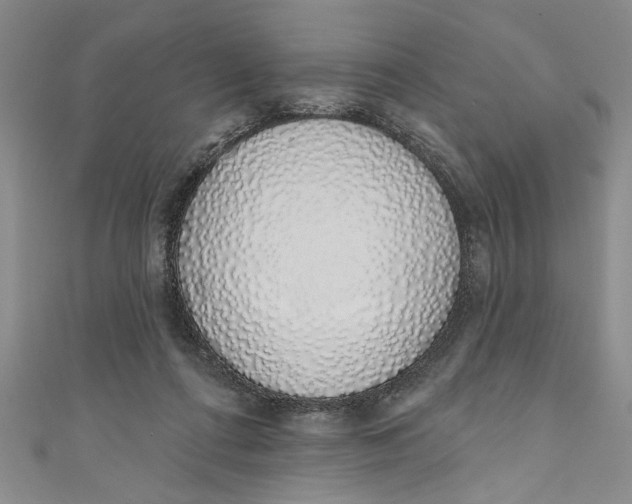 X0000110860312200907021421