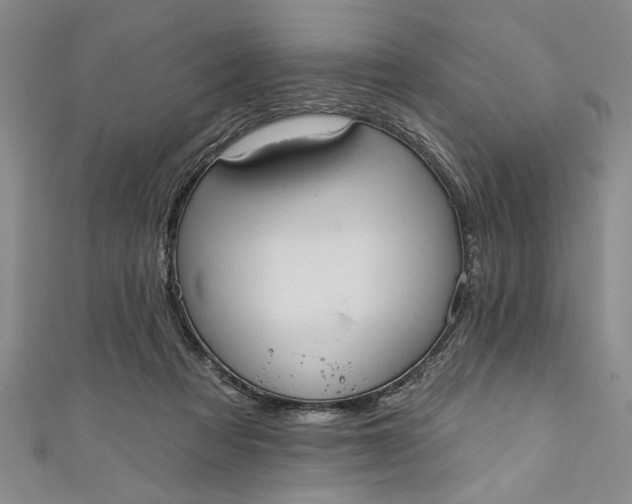 X0000110860313200907021421